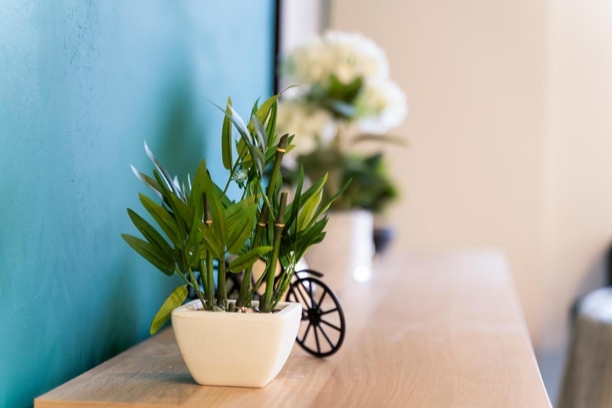 Evergreen Haven - Central 2Br - Free Parking W High Speed Wifi Birmingham Esterno foto